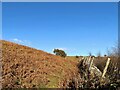 SD3978 : Bracken covered slope by Adrian Taylor