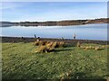 SH9857 : A spot of fly-fishing on Llyn Brenig by Eirian Evans