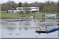 TQ4774 : Ice on Danson Park Lake by David Martin