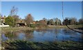 SU4985 : Groundwater Pond, Chilton by Des Blenkinsopp