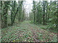 SH4861 : Hen lwybr rheilffordd i Lanberis / Old railway route to Llanberis by Christine Johnstone