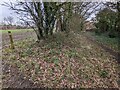 SJ4006 : Footpath turns off the old railway line by TCExplorer