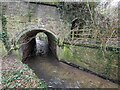 SJ4006 : Tunnel carrying Pontesford Brook under the old railway line by TCExplorer