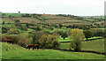 SP3038 : Towards the Sutton Brook valley by Derek Harper