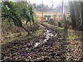 NT3662 : Muddy path crossing the Vogrie Burn by Jim Barton