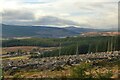 NC5002 : Felled Forest at Doir' a' Chatha, near Rosehall, Sutherland by Andrew Tryon