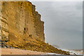 SY4690 : Cliff fall, East Cliff by Ian Capper