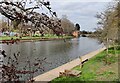 SP0343 : The River Avon at Evesham by Mat Fascione