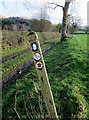 SJ1112 : Waymarkers on Glyndŵr's Way by Dave Croker