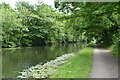 SJ7992 : Bridgewater Canal by N Chadwick