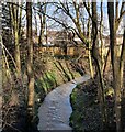 SK5500 : Lubbesthorpe Brook in the Osiers Nature Area by Mat Fascione