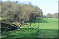 SU0003 : Strip of access land to the east of High Hall Copse by David Martin