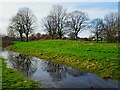 TA1232 : Lambwath Stream Aquagreen, Kingston upon Hull by Bernard Sharp