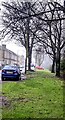 SS7494 : Deciduous trees in winter, Rockingham Terrace, Briton Ferry by Jaggery