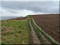 TA2469 : King Charles III England Coast Path, New Fall by JThomas