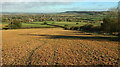 SP3342 : Field near Tysoe Windmill by Derek Harper