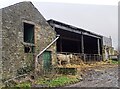 NZ0953 : Muddy farmyard at Panshield by Robert Graham