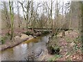 SE8286 : Footbridge over Pickering Beck by Gordon Hatton