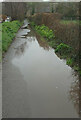 SX8178 : Marsh Path, Bovey Tracey by Derek Harper