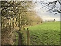 SJ8048 : February sunlight on the edge of Bateswood Country Park by Jonathan Hutchins