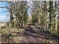 SK4918 : Permissive footpath on the former Charnwood Forest Railway embankment by Ian Calderwood