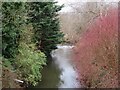 NS9865 : The River Almond at Blackburn by M J Richardson