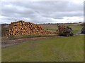 SU5077 : Logging at Banterwick Farm by Oscar Taylor