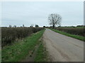 SP4265 : Collingham Lane, heading out of Long Itchington by Christine Johnstone