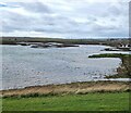 NZ5025 : Greatham Creek by Oliver Dixon