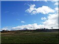 NZ1451 : View across the heathland near Hanging Stone by Robert Graham