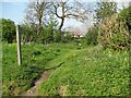 NY3239 : Public footpath near Townhead by Adrian Taylor