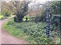 SY0081 : Sustrans mile marker and cycle path, Phear Park, Exmouth by David Smith