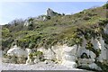 TV6096 : Maritime cliff slope vegetation, Eastbourne, East Sussex by Adrian Diack