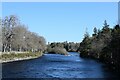 NH6643 : View upriver from Ness Island by Bill Harrison