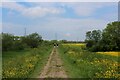 SE5754 : River Embankment on Rawcliffe Ings by Chris Heaton