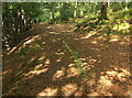 SX7878 : Haytor Granite Tramway, Yarner Wood by Derek Harper