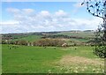 NZ1054 : Grazing field beside the Derwent Walk by Robert Graham