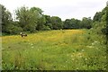 SM9414 : Meadow above Merlin's Brook by M J Roscoe