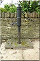 SP2313 : Village water pump by Philip Halling