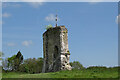 TQ1620 : Ruins of Knepp Castle by PAUL FARMER