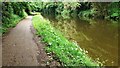 SE1839 : Looking south along Leeds & Liverpool Canal as it passes Dawson Wood by Luke Shaw