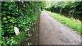 SE1839 : Looking south along Leeds & Liverpool Canal 10 miles from Leeds by Roger Templeman