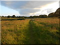 SX9986 : A gate in a field by Anthony Vosper