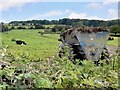 SK3350 : Cows and manure spreader by Ian Calderwood