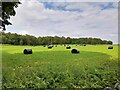 SK3351 : Hay bales in a field at Hitchen Holes by Ian Calderwood