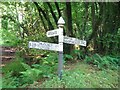 SS9828 : Fingerpost, Upton by Mr Red