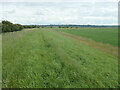 SE8522 : The floodbank bends south at Bosomcross by Christine Johnstone