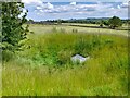 SK1256 : Dry dew pond by Ian Calderwood