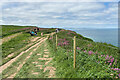 TA1974 : Cliff Path at RSPB Bempton by David Dixon