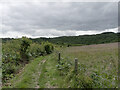 TA0197 : The Cleveland Way approaching Hayburn Wyke from the north by habiloid